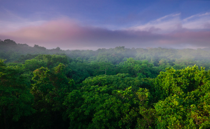 Think “rainy season” isn’t a great time to visit Panama? Think again!