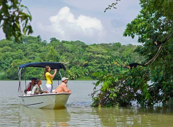 Exploring the Rich Biodiversity in Panama and Environmental Conservation