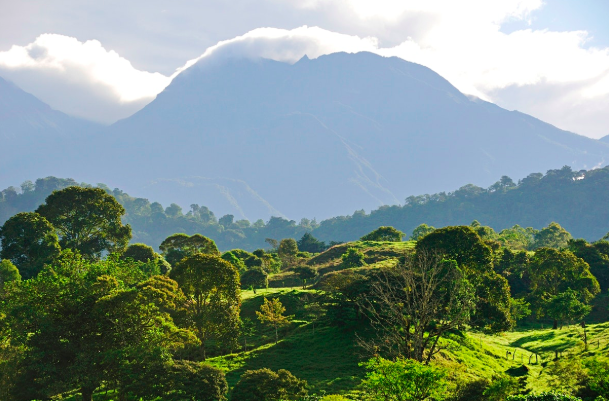 Biodiversity in Panama: An ecological wonderland