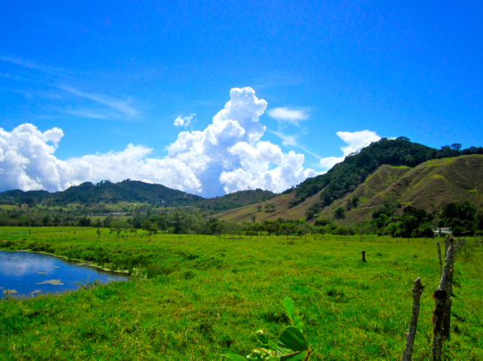 Looking for a quiet mountain community? Check out Volcan!