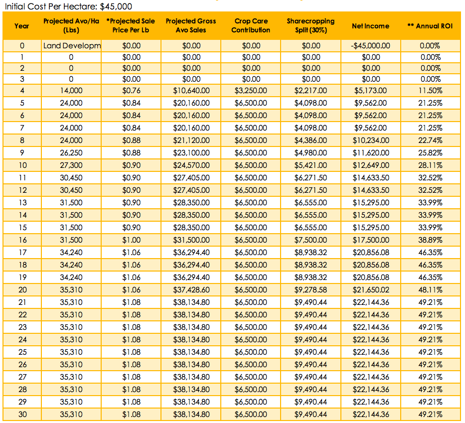 Avocado farm ROI
