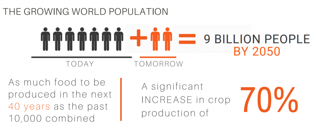 population growth