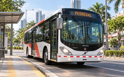 Navigating Public Transportation in Panama